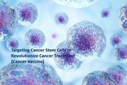 هسته های پژوهشی